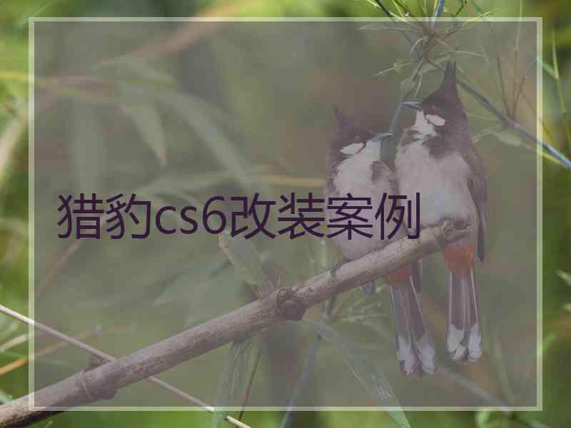 猎豹cs6改装案例