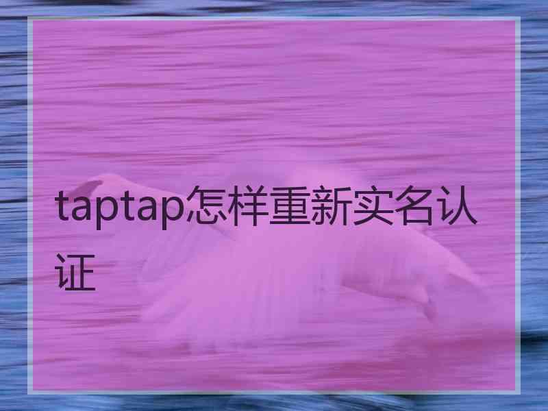 taptap怎样重新实名认证