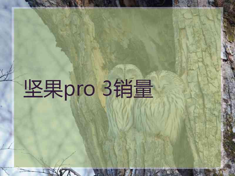 坚果pro 3销量