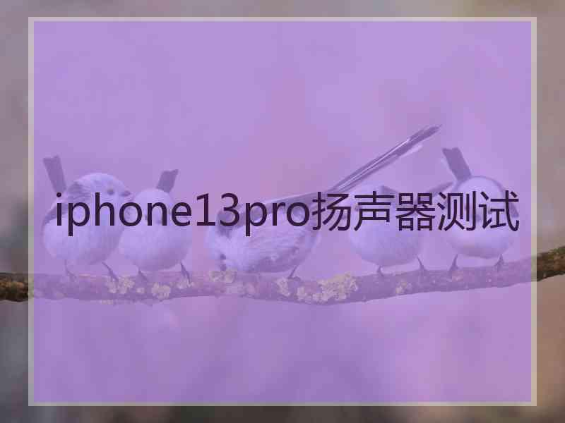 iphone13pro扬声器测试