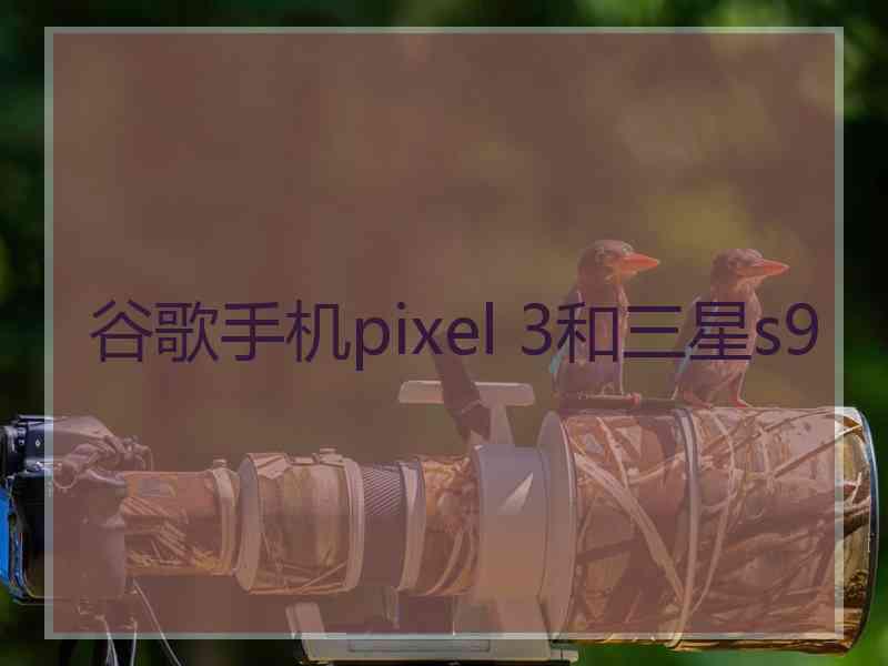 谷歌手机pixel 3和三星s9