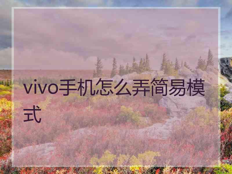 vivo手机怎么弄简易模式