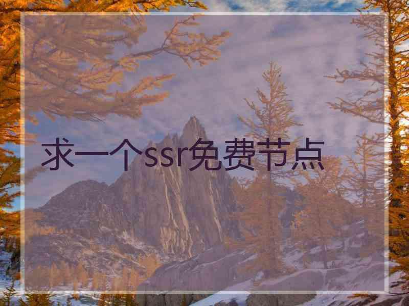 求一个ssr免费节点