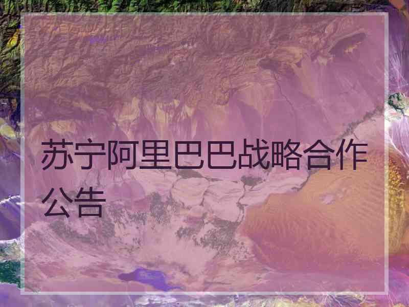 苏宁阿里巴巴战略合作公告