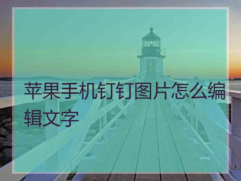 苹果手机钉钉图片怎么编辑文字