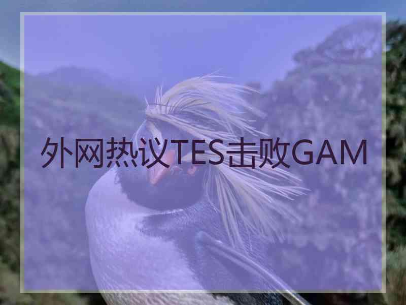 外网热议TES击败GAM