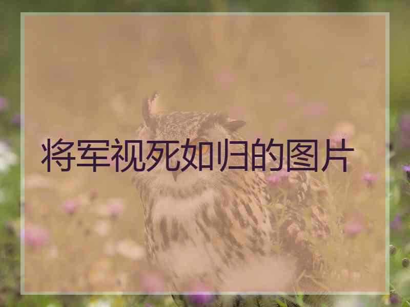 将军视死如归的图片