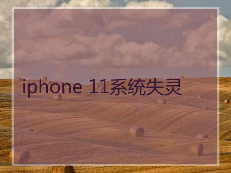 iphone 11系统失灵