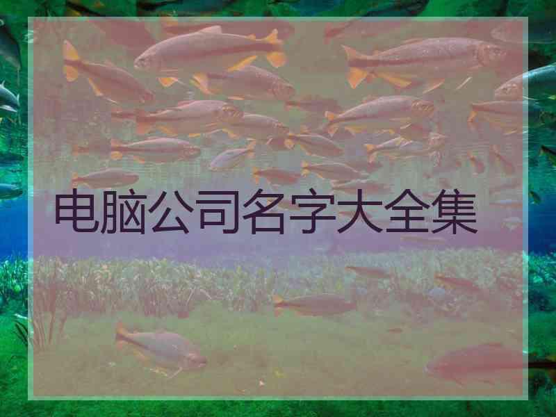 电脑公司名字大全集