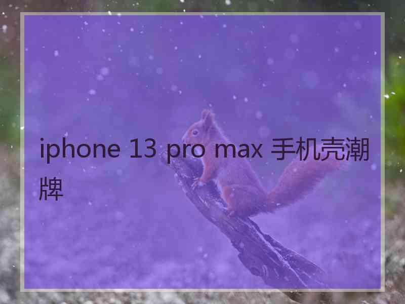 iphone 13 pro max 手机壳潮牌