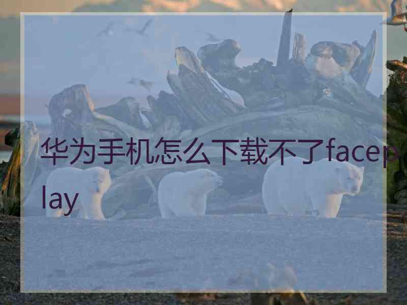 华为手机怎么下载不了faceplay