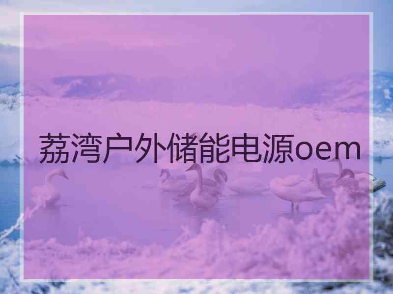 荔湾户外储能电源oem