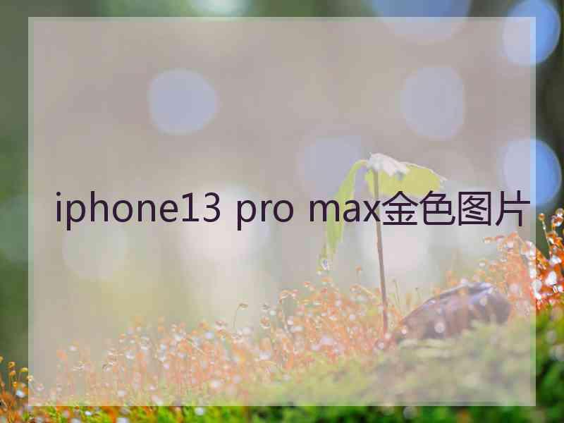 iphone13 pro max金色图片