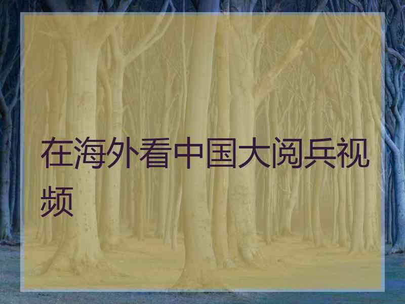 在海外看中国大阅兵视频