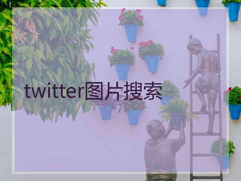 twitter图片搜索