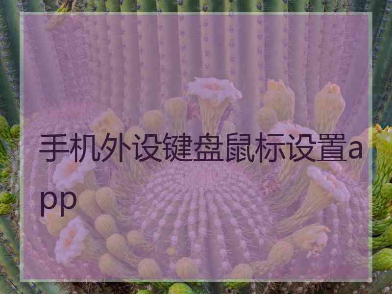 手机外设键盘鼠标设置app