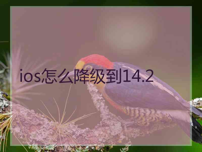 ios怎么降级到14.2