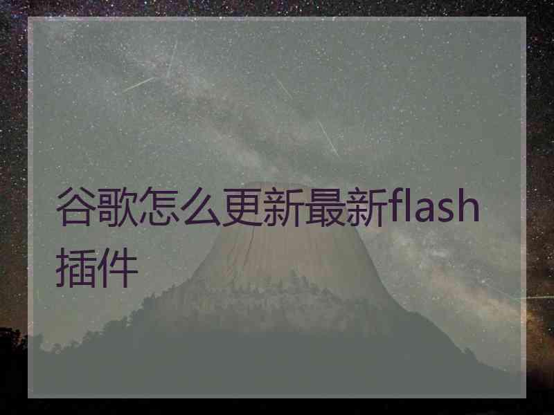 谷歌怎么更新最新flash插件