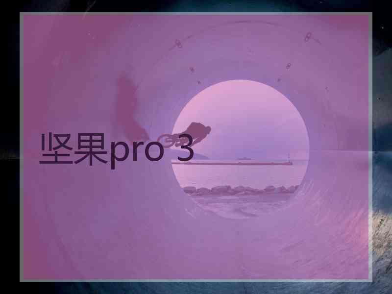 坚果pro 3