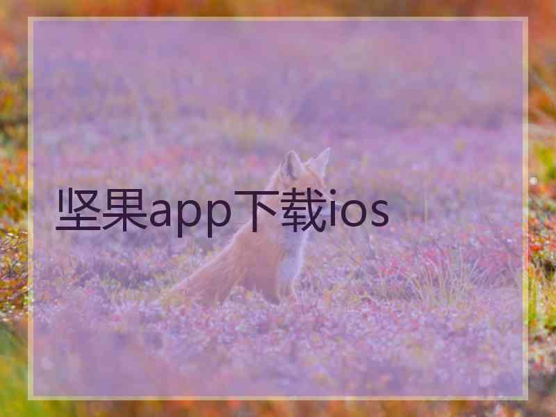 坚果app下载ios