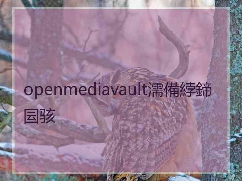 openmediavault濡備綍鍗囩骇