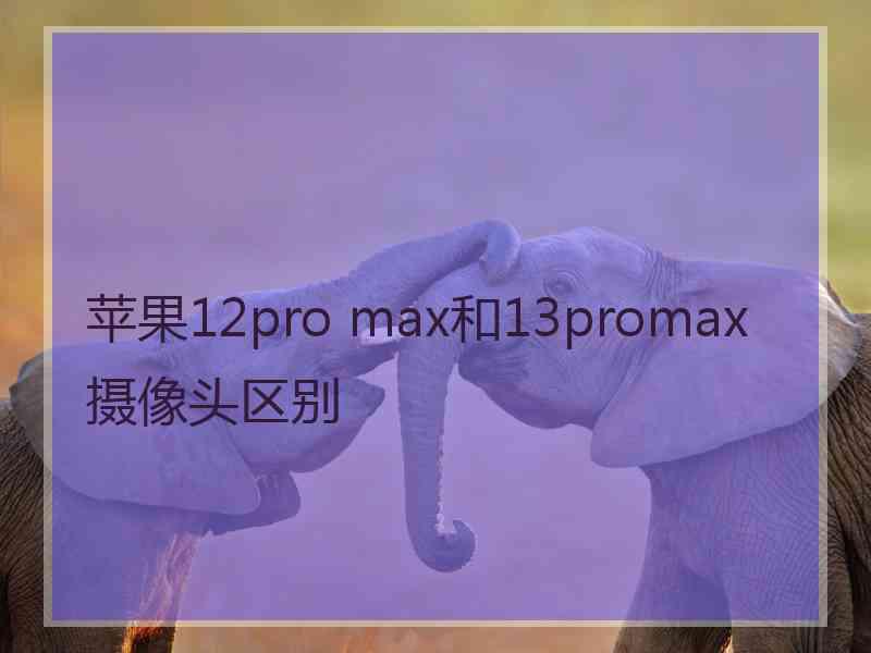 苹果12pro max和13promax摄像头区别