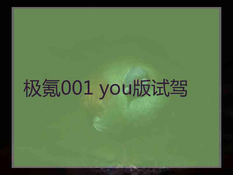 极氪001 you版试驾