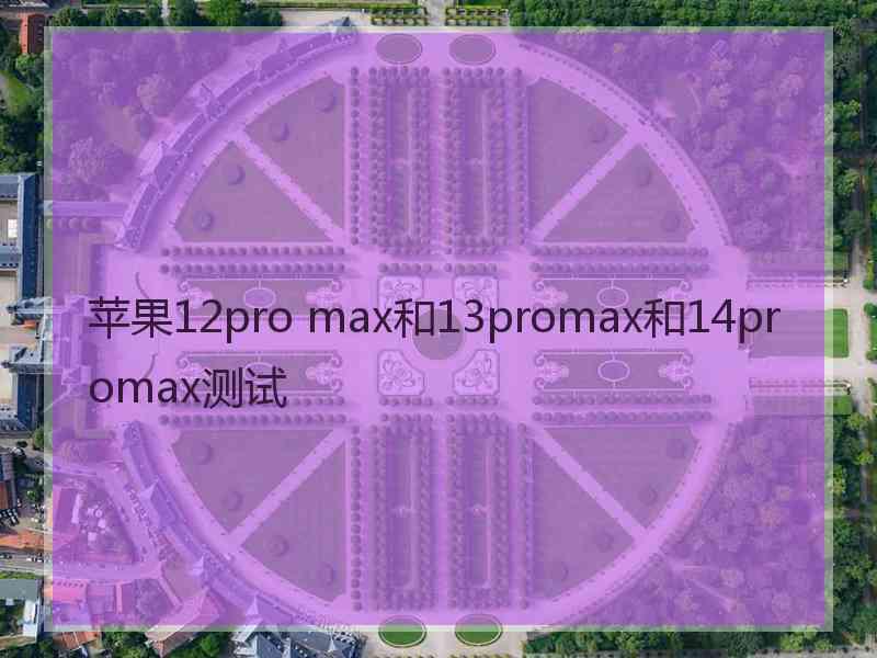 苹果12pro max和13promax和14promax测试