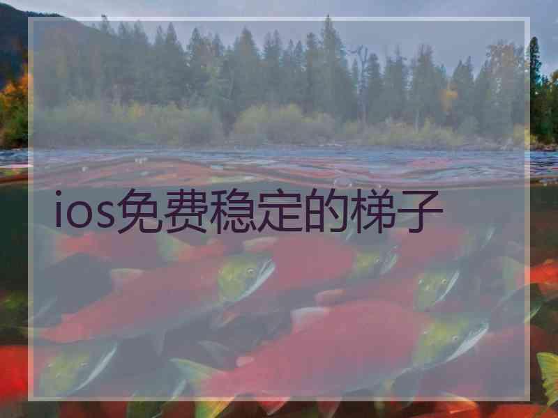 ios免费稳定的梯子