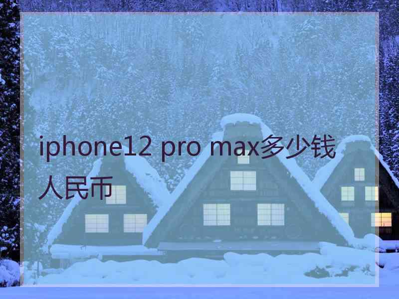 iphone12 pro max多少钱人民币