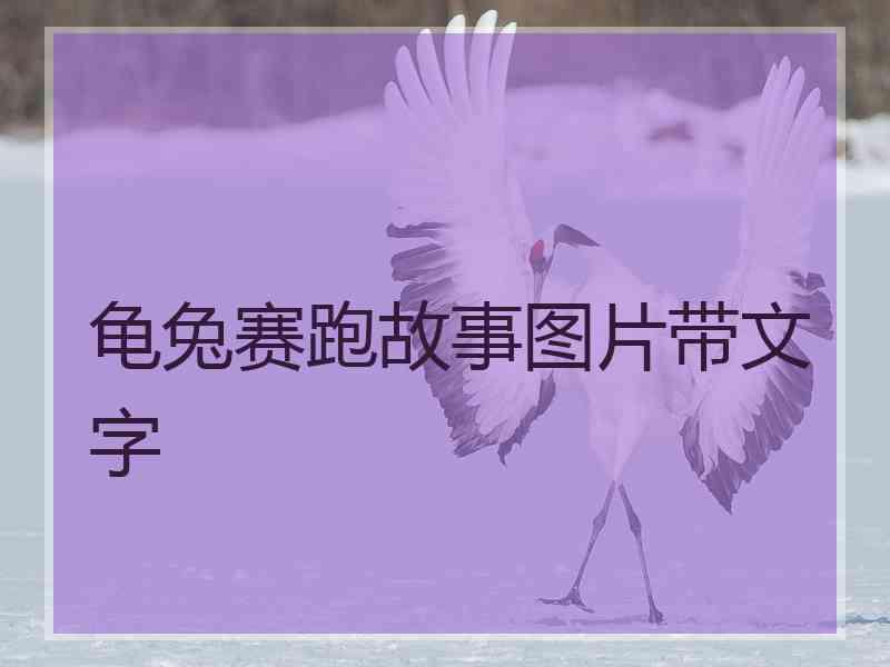 龟兔赛跑故事图片带文字