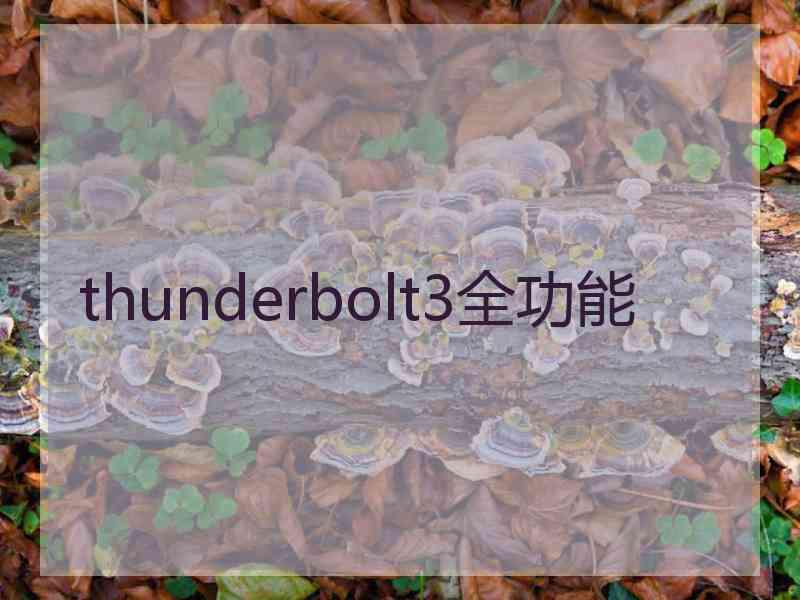 thunderbolt3全功能