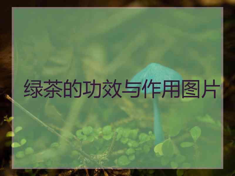 绿茶的功效与作用图片