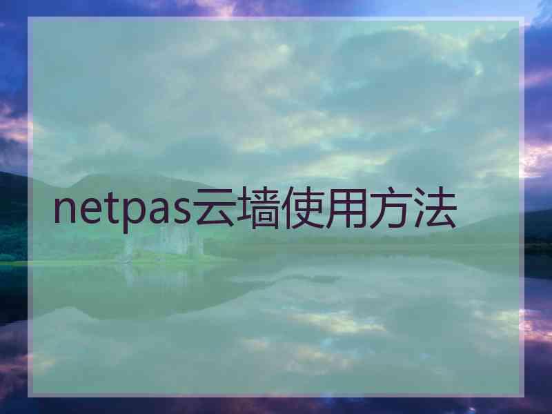 netpas云墙使用方法