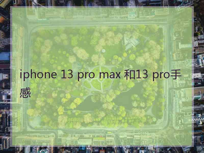 iphone 13 pro max 和13 pro手感