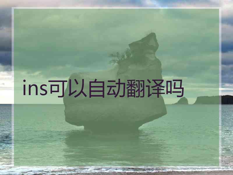 ins可以自动翻译吗