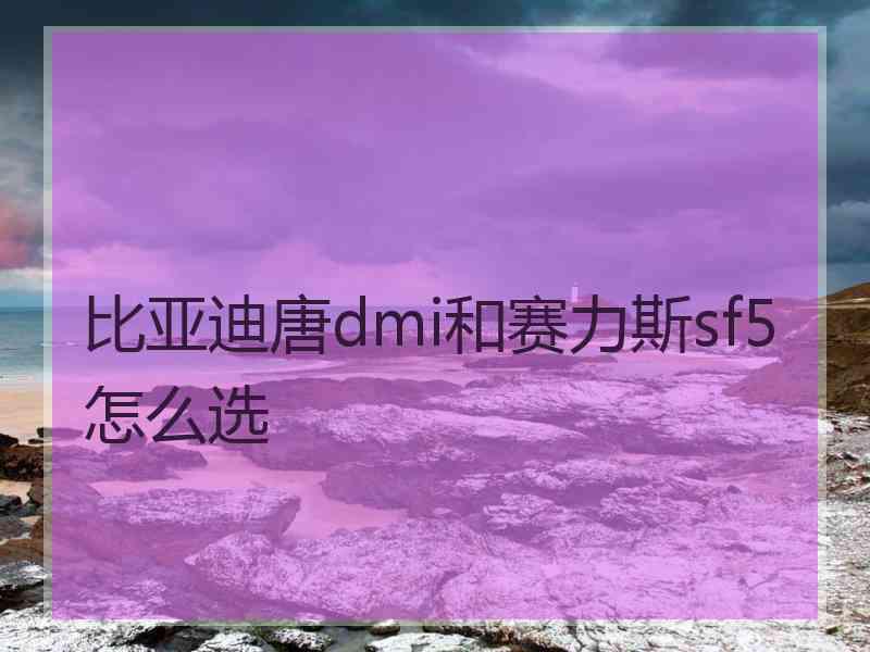 比亚迪唐dmi和赛力斯sf5怎么选