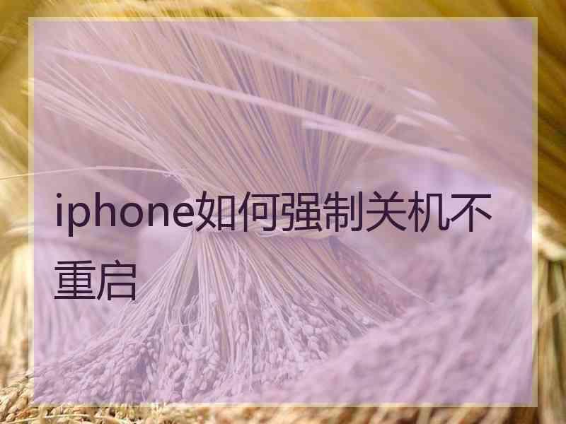 iphone如何强制关机不重启