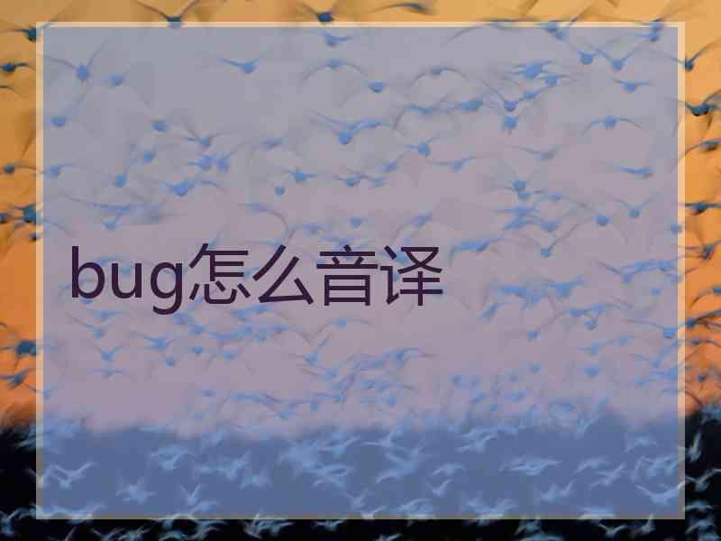 bug怎么音译