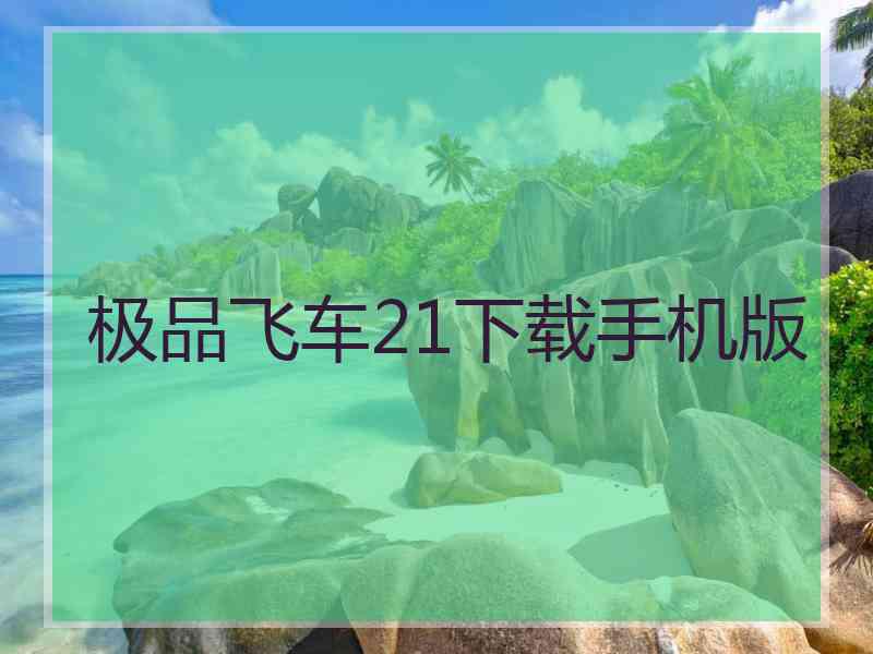 极品飞车21下载手机版