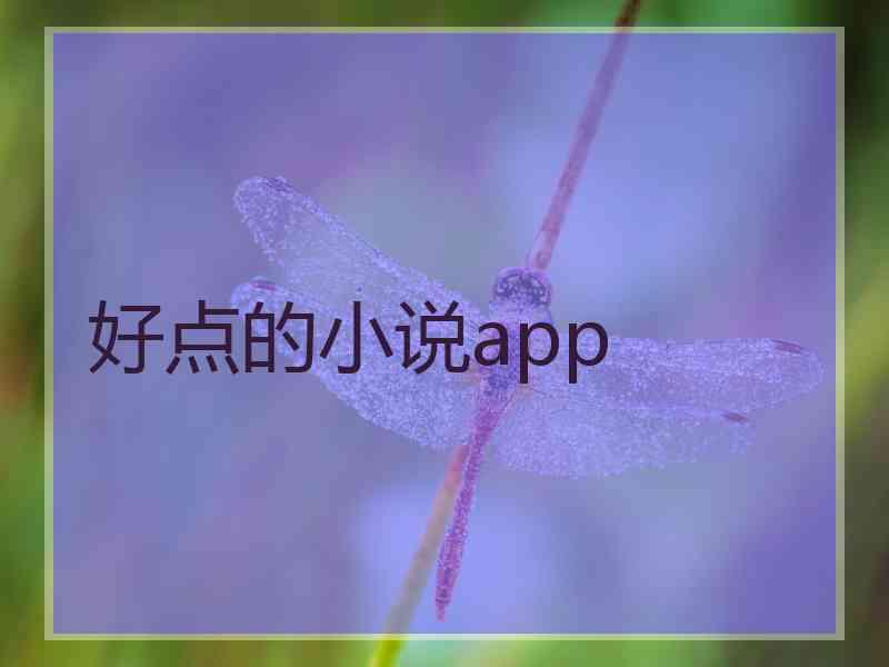 好点的小说app