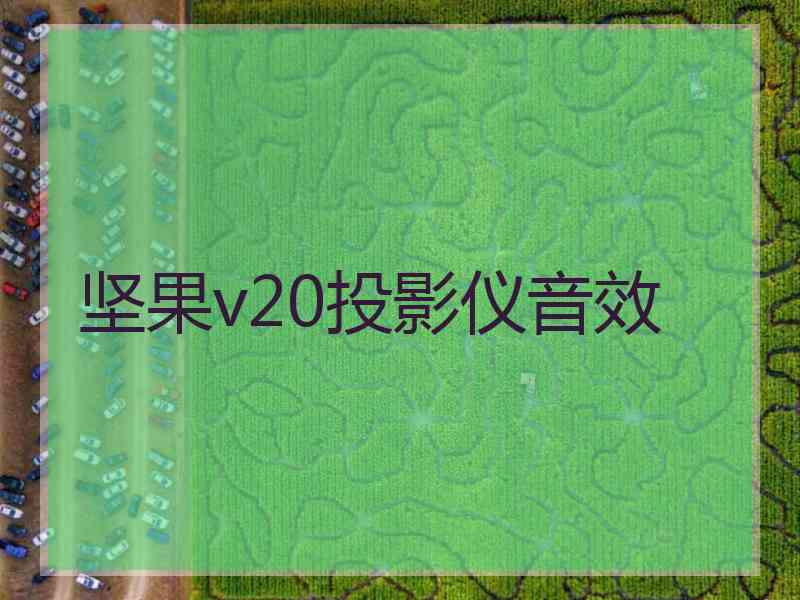 坚果v20投影仪音效