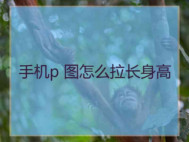 手机p 图怎么拉长身高