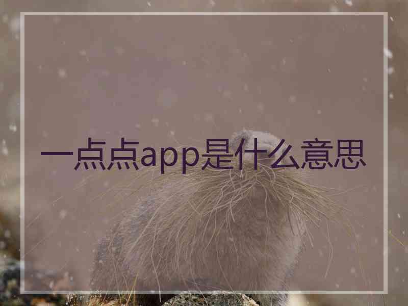 一点点app是什么意思