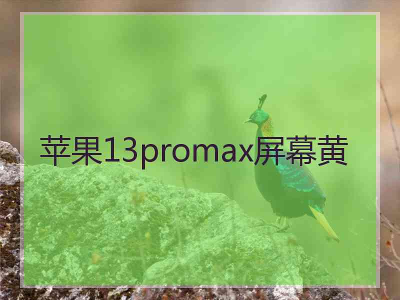 苹果13promax屏幕黄