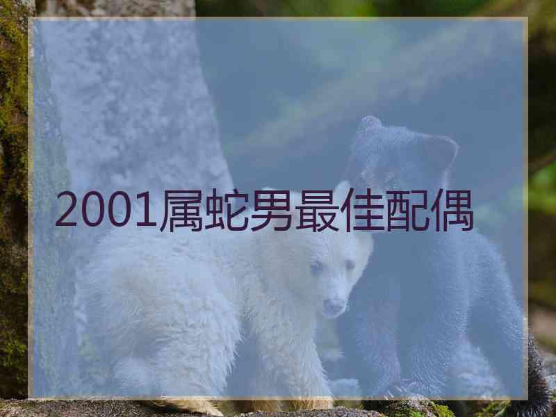 2001属蛇男最佳配偶