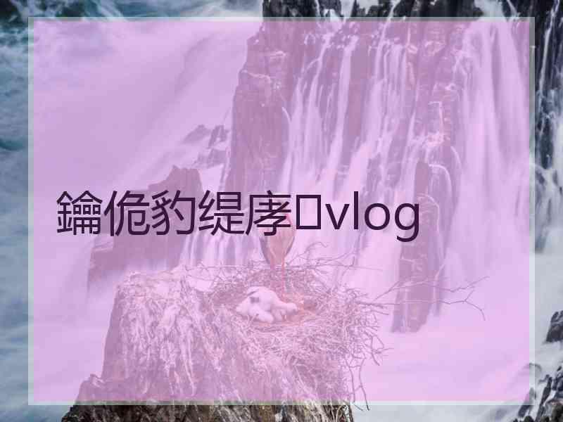 鑰佹豹缇庨vlog