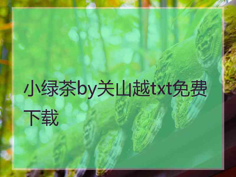 小绿茶by关山越txt免费下载