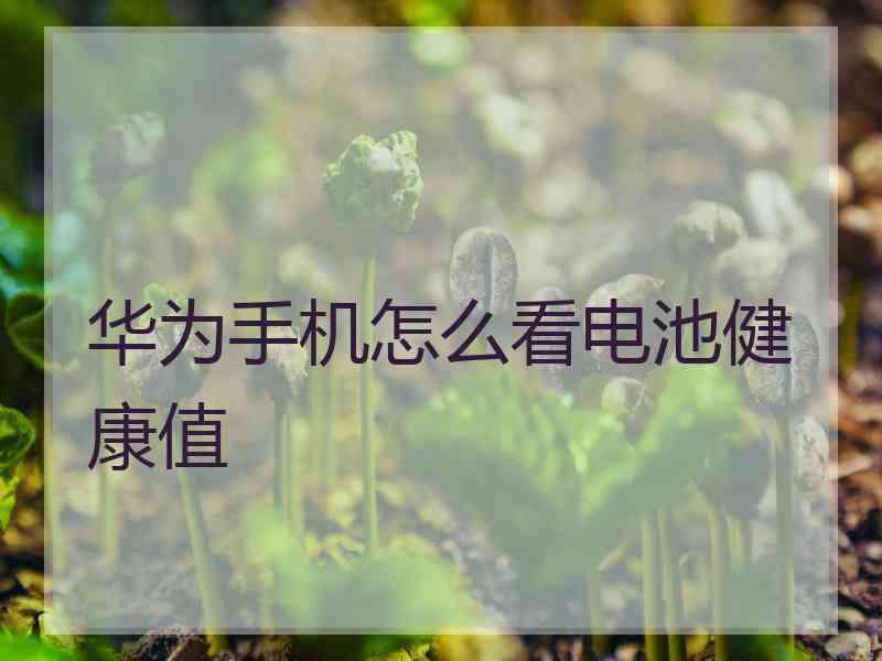 华为手机怎么看电池健康值