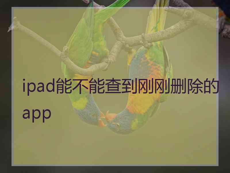 ipad能不能查到刚刚删除的app